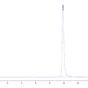 HPLC of Human PLA2G1B Protein 2848