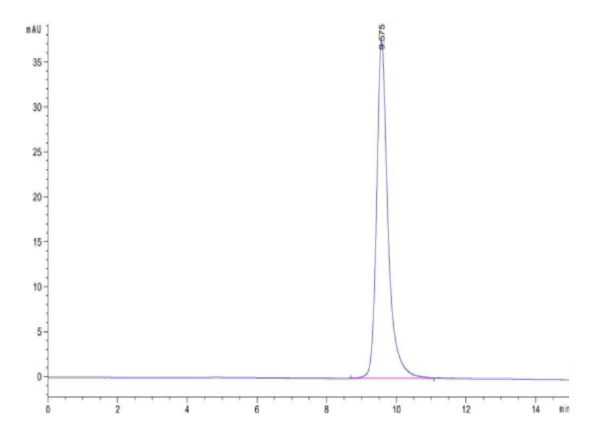 HPLC of SARS-CoV-2 Spike RBD (Gamma P.1/P.1.1/P.1.2) Protein 2855