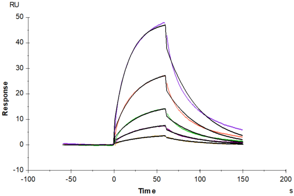 SPR with Biotinylated Mouse PD-1/PDCD1 Protein (Primary Amine Labeling) 2861