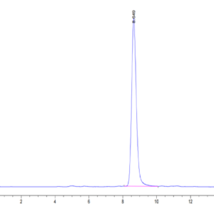 HPLC of Mouse CD14 Protein 2871