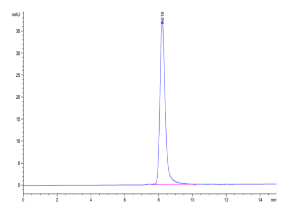 HPLC of Biotinylated Human SIRP Beta/CD172b Protein 2876