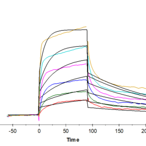 SPR with Mouse EGFR/HER1 Protein 2897