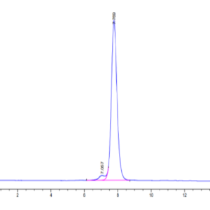 HPLC of Human CDH17/Cadherin 17 Domain 6-7 Protein 2905