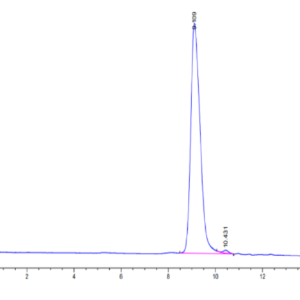 HPLC of Human uPAR/PLAUR Domain (2+3) protein 2907