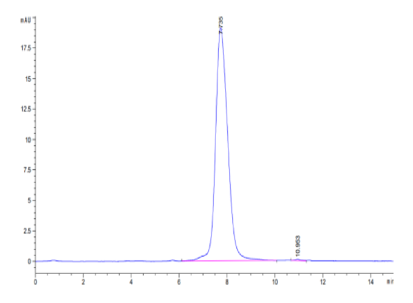 HPLC of SARS-CoV-2 Spike S1 (Omicron BA.4/BA.5/BA.5.2) Protein 2909