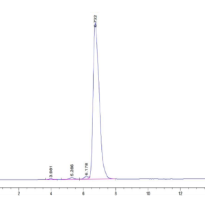 HPLC of Human HLA-A*24:02&B2M&MAGE-A3 (IMPKAGLLI) Tetramer Protein 2911