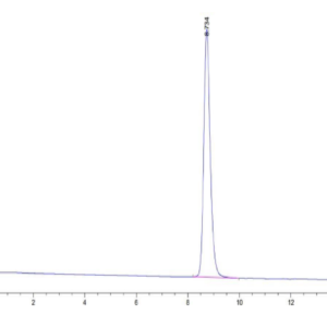 HPLC of Human HLA-A*24:02&B2M&MAGE-A3 (IMPKAGLLI) Monomer Protein 2913