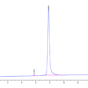 HPLC of Human BCAM Protein 2934