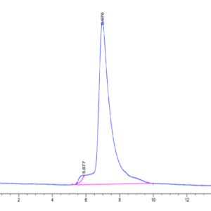 HPLC of Human TIM-4 Protein 2940