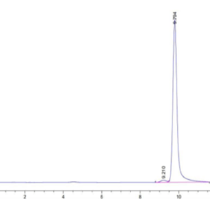 HPLC of Human PRL-2/PTP4A2 Protein 2941