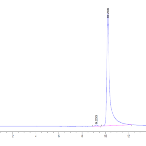 HPLC of Human CCL7/MCP3 Protein 2946