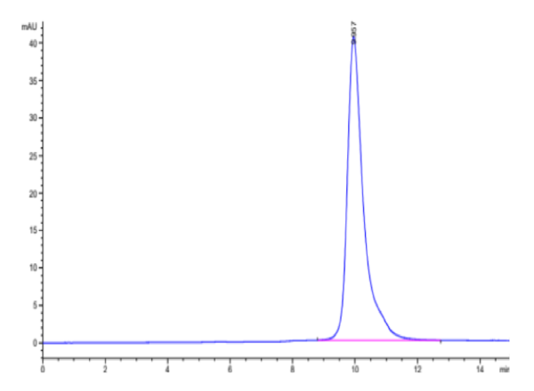 HPLC of Biotinylated Human LILRB4/CD85k/ILT3 Domain 1 Protein 2949