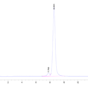 HPLC of Human GBA/glucocerebrosidase Protein 2951