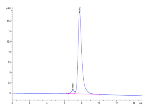 HPLC of Biotinylated Human FGF21 Protein 2962