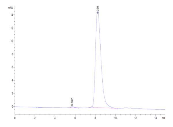 HPLC of Biotinylated Human TNFR2/CD120b/TNFRSF1B Protein (Primary Amine 2973