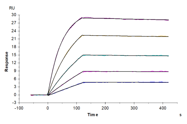 SPR with Human TNFRSF11B Protein 2975