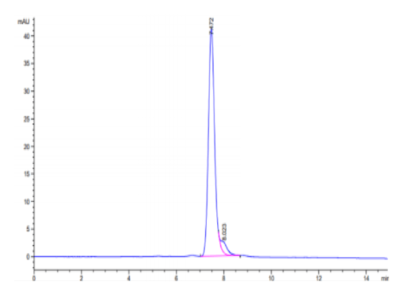 HPLC of Mouse TNFRSF11A/Rank Protein 2989