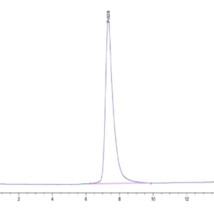 HPLC of Mouse CLEC14A Protein 3002