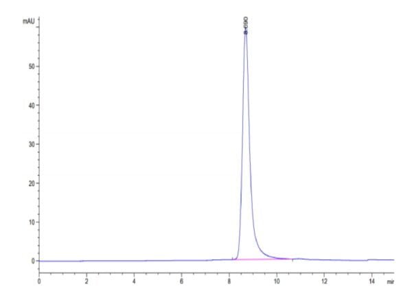 HPLC of Biotinylated Human HLA-A*02:03&B2M&AFP (FMNKFIYEI) Monomer Prot 3010