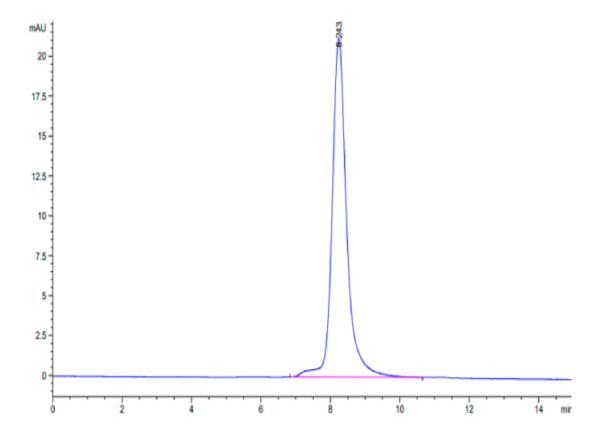 HPLC of Human FSTL1 Protein 3013