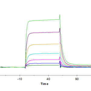 SPR with Human IL-2 R beta/CD122 Protein 3032