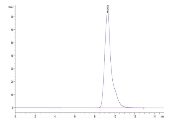 HPLC of Mouse FOLR1 Protein 3037