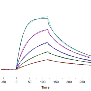 SPR with Mouse DR3/TNFRSF25 Protein 3039