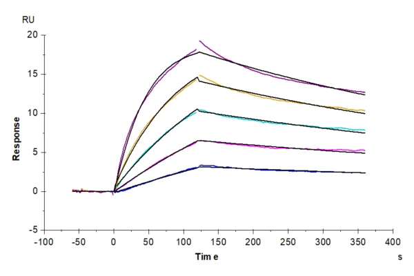 SPR with Mouse IL-23R Protein 3040