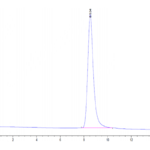 HPLC of Mouse CD39/ENTPD1 Protein 3044