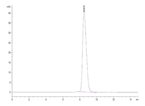HPLC of Cynomolgus IL-23R Protein 3054