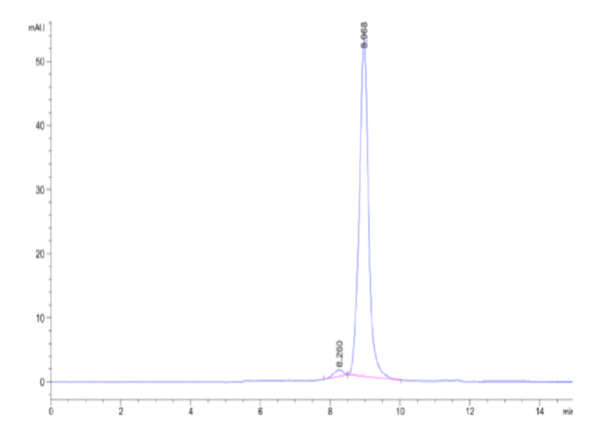 HPLC of Biotinylated Human IL-23 alpha&IL-12 beta Protein 3058