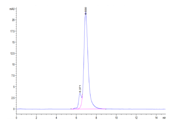 HPLC of Biotinylated Human Integrin alpha 5 beta 1 (ITGA5&ITGB1) Hetero 3064