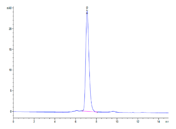 HPLC of Biotinylated Human Integrin alpha V beta 3 (ITGAV&ITGB3) Hetero 3079