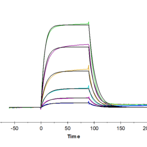 SPR with Human CD6 Protein 3082
