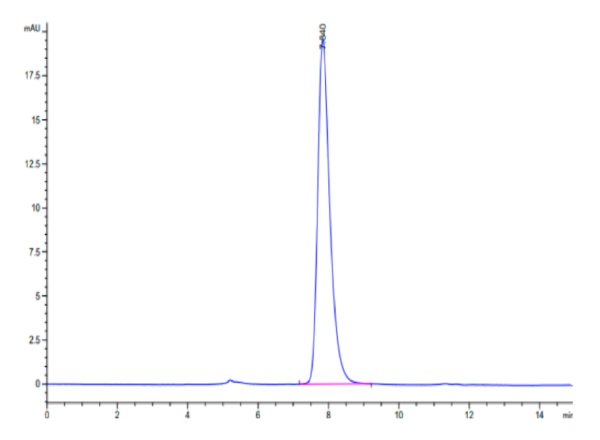 HPLC of Mouse LRRC15/LIB Protein 3116