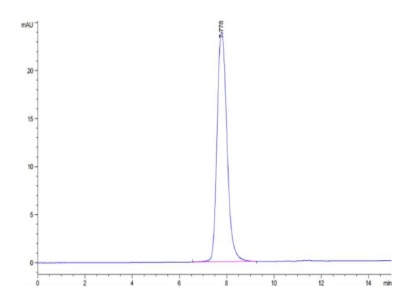 HPLC of Cynomolgus PDGF R beta/CD140b Protein 3119