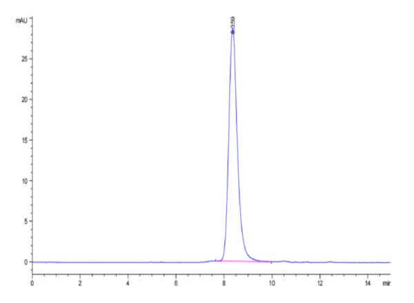 HPLC of Cynomolgus SERPINF2/A2AP Protein 3120