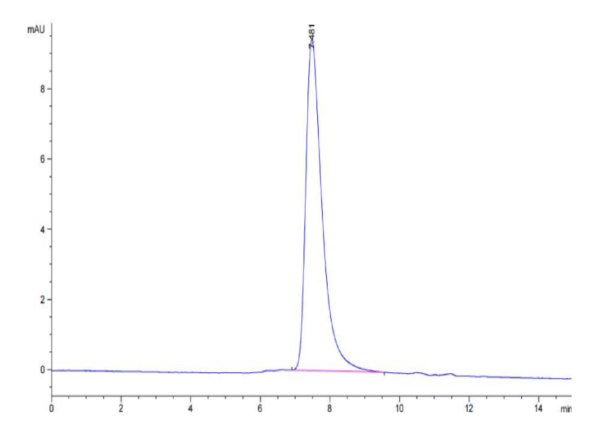 HPLC of Cynomolgus DR6/TNFRSF21 Protein 3124