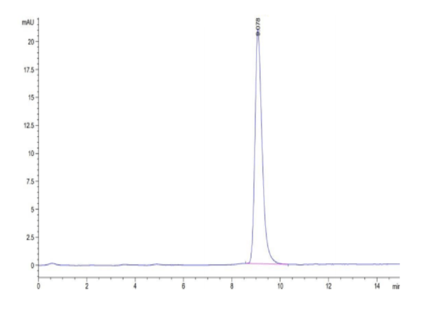 HPLC of Human ANTXR2 Protein 3127