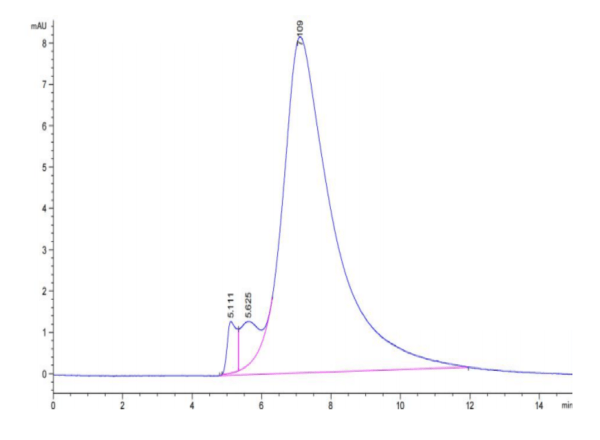 HPLC of Biotinylated Human BTN3A2 Protein 3129