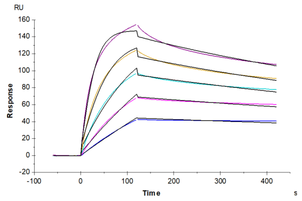 SPR with Mouse TNFSF15 Protein 3136