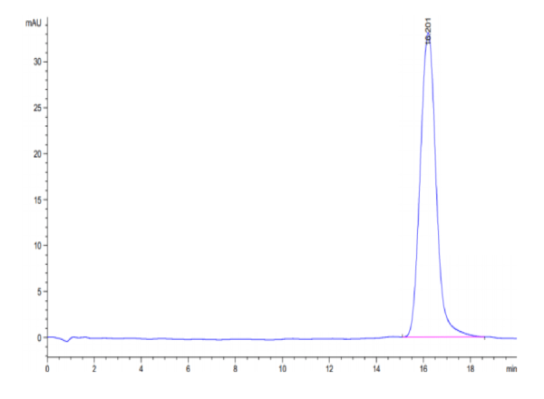 HPLC of Biotinylated Human B7-H3/CD276 Protein 3142