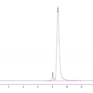 HPLC of Human HLA-A*11:01&B2M&KRAS WT (VVVGAGGVGK) Tetramer Protein 3143