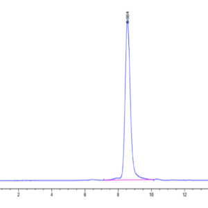 HPLC of Human MXRA8 Protein 3155