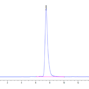 HPLC of Mouse CLEC7A Protein 3156