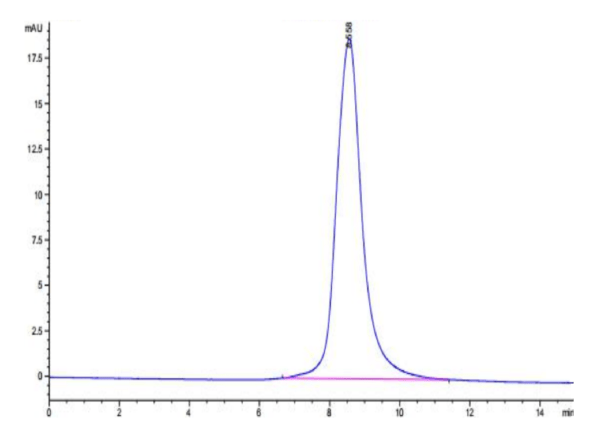 HPLC of Biotinylated Human LILRB5/CD85c/LIR-8 Protein 3161