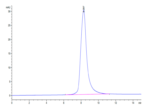 HPLC of Mouse RANKL/TNFSF11/CD254 Protein 3167