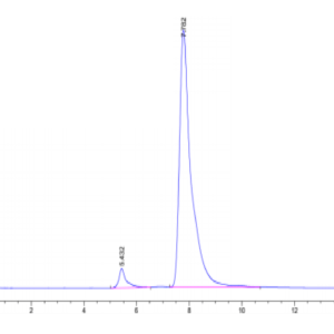 HPLC of Human CLEC7A Protein 3170