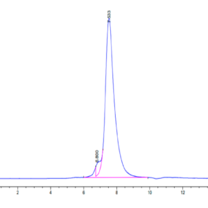 HPLC of Human NKG2C/CD159c Protein 3182