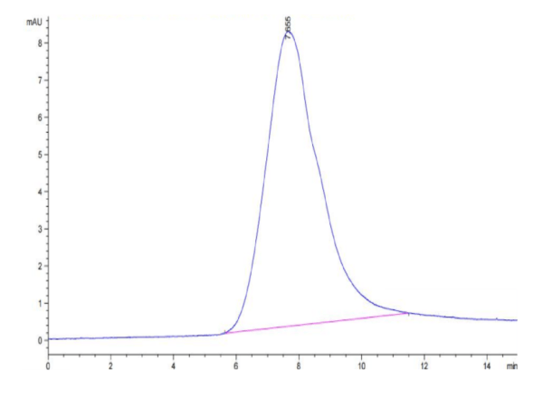 HPLC of Biotinylated Human NKG2C/CD159c Protein 3185